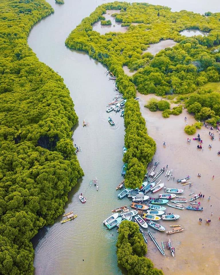 Peaceful tropical lagoon landscape